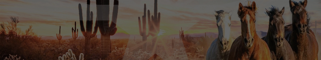 IN PERSON - Keep AZ Free 2026 Legislative Kick Off and Action Plan - Tuesday, January 13th 6-8PM - Doors open at 5:30PM