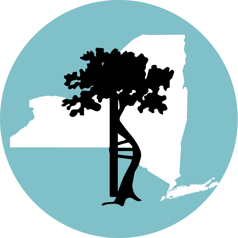 New York State Society of Orthopaedic Surgeons